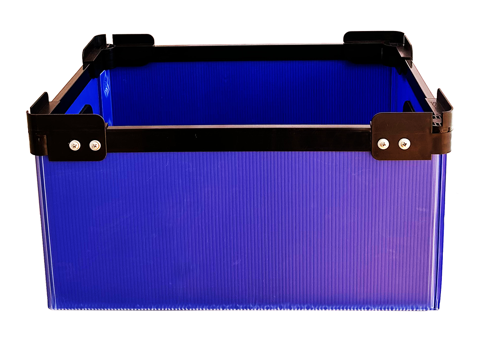 IMG_0269.png