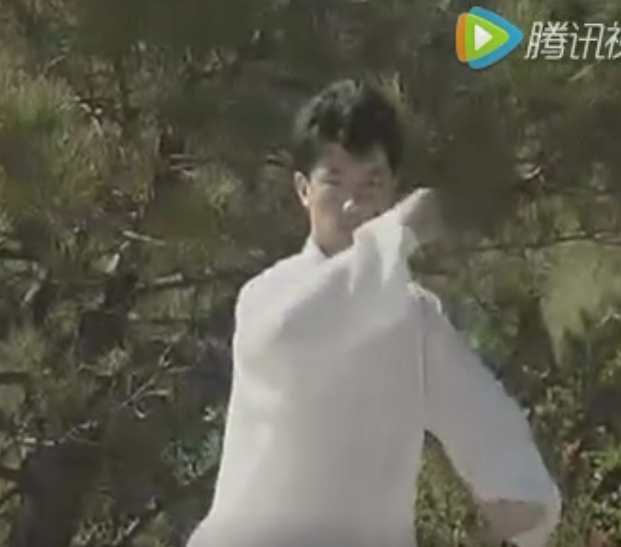 42式太极拳分解教学，全面教程，慢动作分解演示